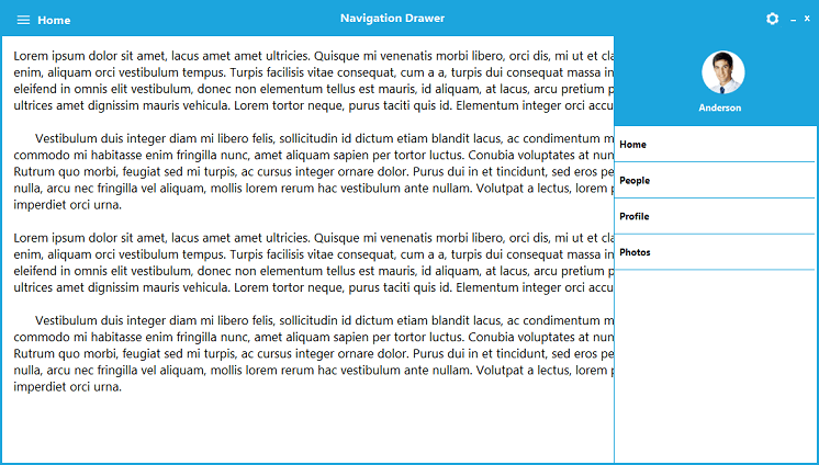 Windows Forms side bar at right