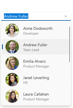 Custom UI for combo box items using ItemTemplate.
