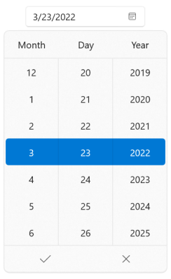 Column Header in WinUI Date Picker