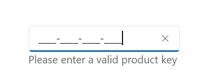 WinUI MaskedTextBox description
