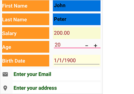 Customization in Xamari.Android DataForm