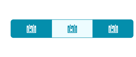 Xamarin Android Segmented control item display as text