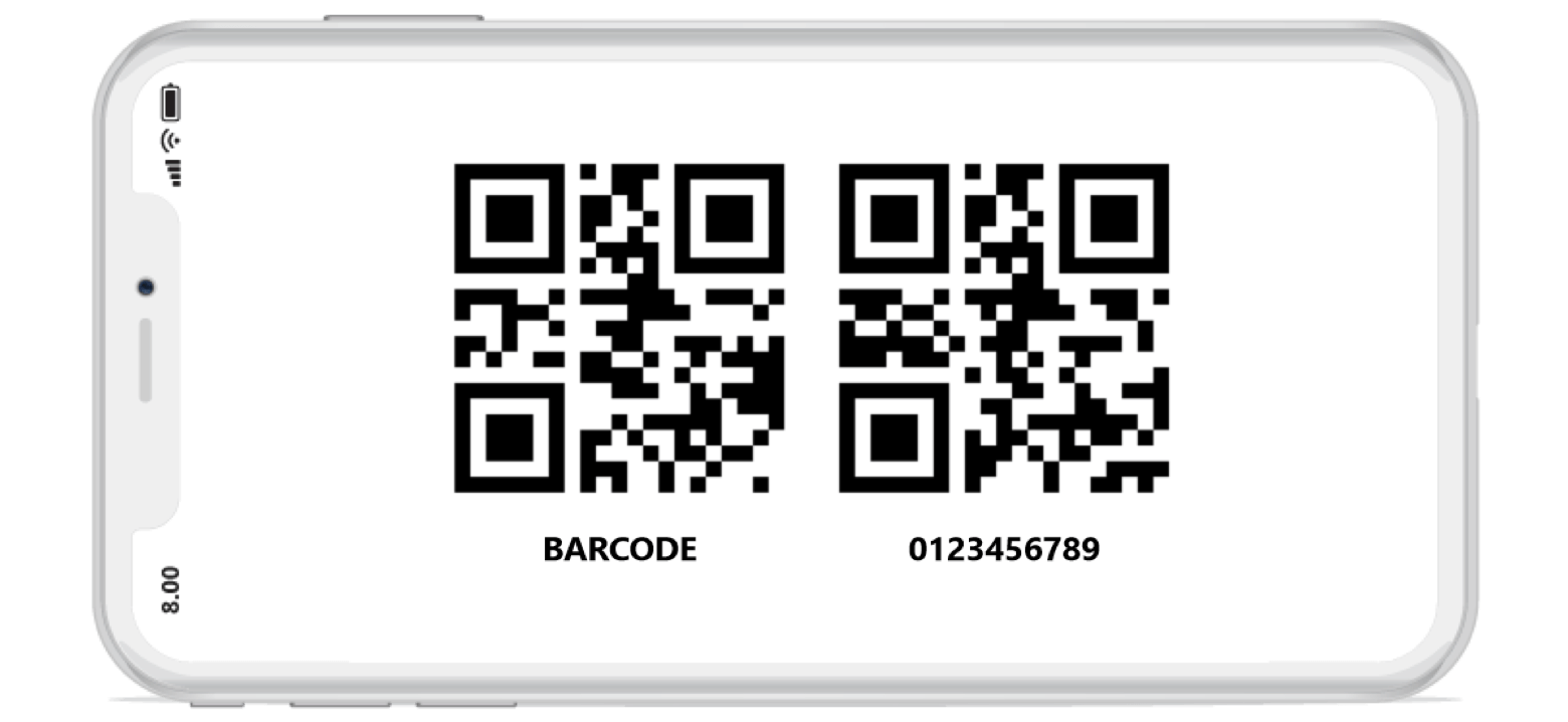 Barcode input mode