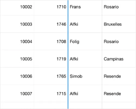 Column resizing in data grid