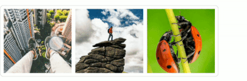 Xamarin.Forms selection and scale.