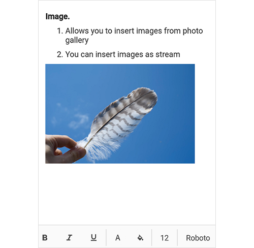 Xamarin.Forms Rich Text Editor provides image insertion support.