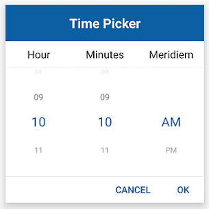 Xamarin.Forms Time Picker control with Format hh_mm_tt
